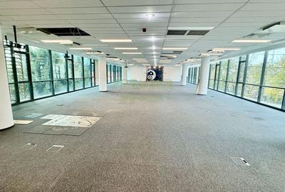 SPATIU DE BIROURI | 636 MP | DISPONIBIL IMEDIAT | SPATIU DE BIROURI | 636 MP | DISPONIBIL IMEDIAT | - 19