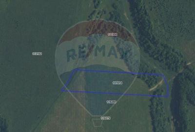 Teren 10,800mp Rasnov / Drumul DN73 - 5