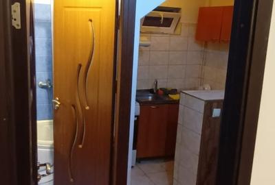 Gorjului -Militari, garsoniera in vila, centrală proprie - 5