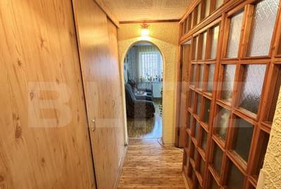 Apartament cu 3 camere semidecomandat în Gojdu - 1