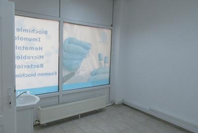 Inchiriere Spatiu Comercial Teiul Doamnei - 13