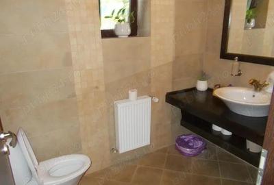 Vila P+M, Sag, 4 camere, 260mp util, 750mp teren, mobilat, utilat Vila P+M, Sag, 4 camere, 260mp util, 750mp teren, mobilat, utilat - 6