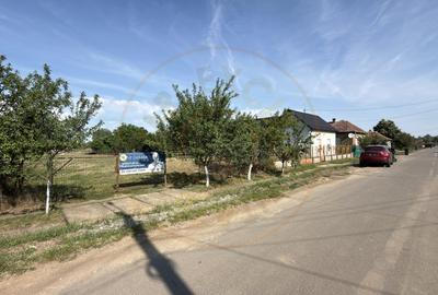 Teren Construcții intravilan de 1404 mp, în Carei - 7