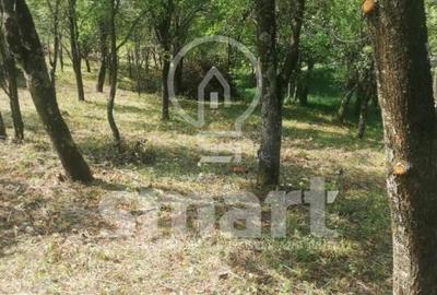 Teren intravilan cu CF 5400mp front 17 Savadisla jud Cluj - 5