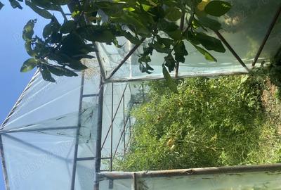 Casa de vanzare!!! - 7