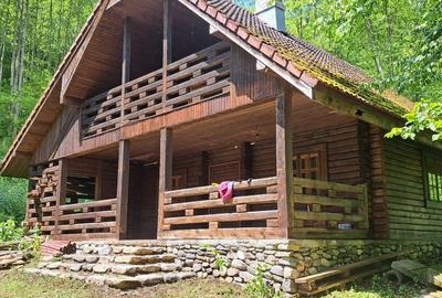 Casă cu 7 camere cu Teren 1490 Mp în Șugag - 3
