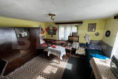 Proprietate cu 2 case, teren 2ha, zona Zlatna - Muntii Apuseni - 10