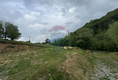 Teren 2,000mp Copalnic-Manastur / Strada Principala - 2