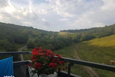 Apartament cu 2 camere decomandat, mobilat în Grigorescu - 2