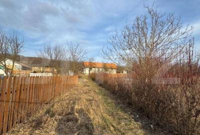 Casă cu 3 camere cu Teren 1000 Mp în Schitu Duca - 3