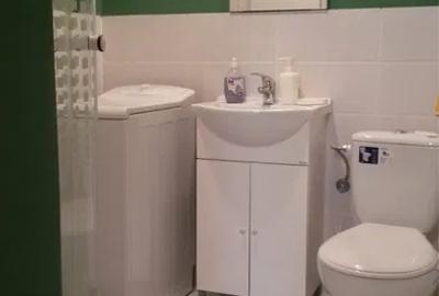 Apartament 3 camere pe 2 nivele str. Horea - 6
