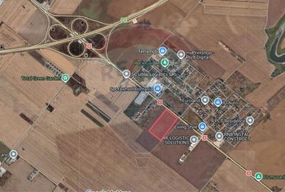 Teren de 50000 mp, în Sud