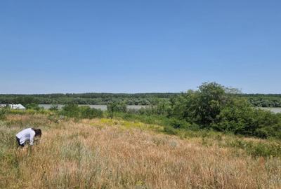 Teren de 1200 mp, în Mahmudia - 5