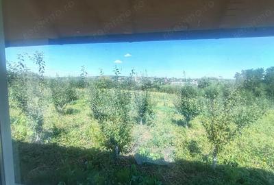 Casă cu 1 camere cu Teren 3000 Mp în Central - 2