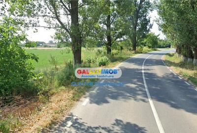 Teren la Drum Judetean Silistea Snagov Gruiu 1900 mp intravi - 3