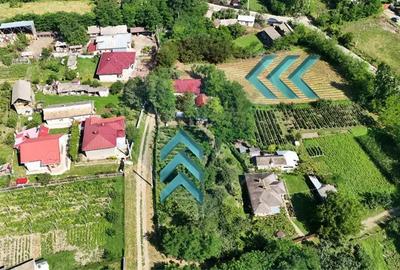 Casa cu teren de vanzare in Rugionasa iasi - 4