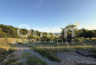 Teren Construcții intravilan de 7000 mp, în Groși - 1