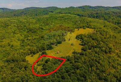 COMISION 0% Teren 6,572 mp/Cur?i construc?ii/ Intravilan - 1