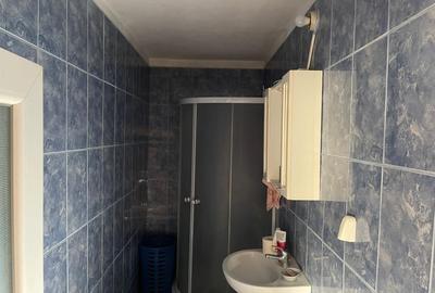 Casa parter cu 106,98mp utili si teren de 407mp cu toate utilitatile in Catargiu - 5