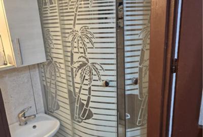 Garsoniera Etaj 3 Narcisa Garsoniera Etaj 3 Narcisa - 5