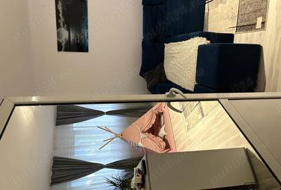 Vand apartament cu 2 camere in Vest - 7