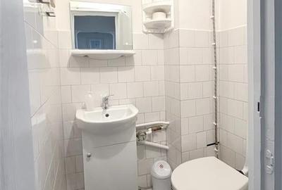 Apartament spatios 3 camere Centrul Civic Pet Friendly - 11