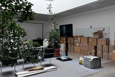 Spațiu comercial, de 3,166 mp, în Anadolchioi - 15