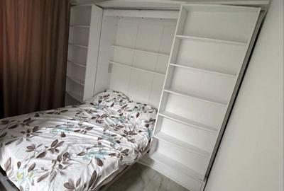 Apartament cu 2 camere decomandat în Palazu Mare - 5