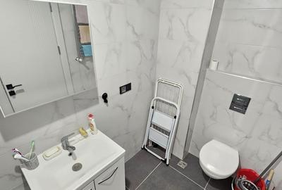 Apartament cu 3 camere semidecomandat în Theodor Pallady - 10