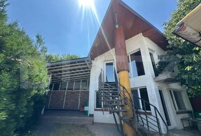 Trei hale industriale + Anexe, zona Breasta - 13