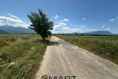 Teren de 5000 mp, în Râșnov Romacril - 5