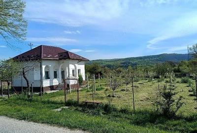 Casă cu 3 camere cu Teren 1600 Mp în Crâmpotani - 4