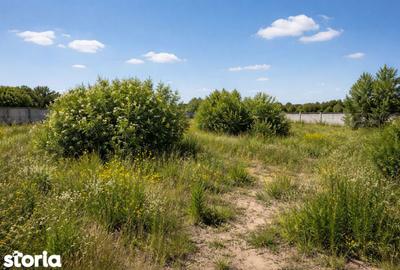 Teren de 34000 mp, în Dascălu