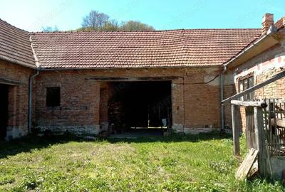Casa mare la ?ara cu teren generos in zona superba Casa mare la ?ara cu teren generos in zona superba - 4