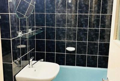 Apartament cu 2 camere decomandat în Terezian - 14