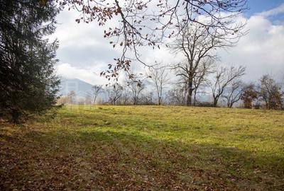 Teren intravilan, cu PUZ, Bran Tohanita,  SE ACCEPTĂ ȘI SCHIMB - 8