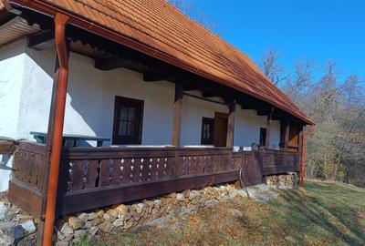 Proprietar, casa de vacanta de vanzare - 3