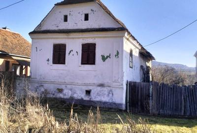 Casă în Jimbor - 1