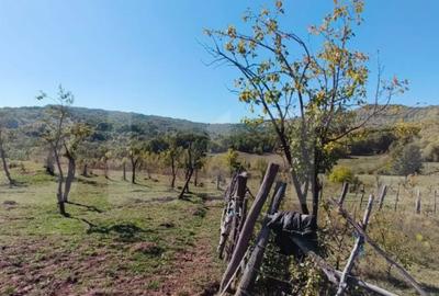 Teren de 7382 mp, în Central - 5