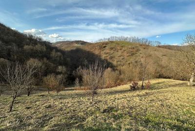 Spațiu comercial, în Săliștioara - 2