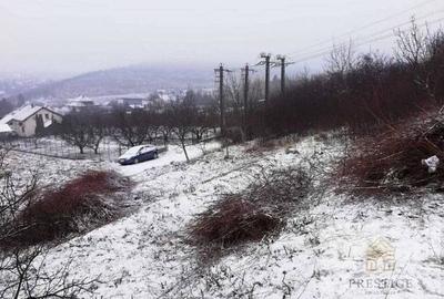 Teren intravilan de vanzare in zona Gheorghe Doja-Oradea - 2