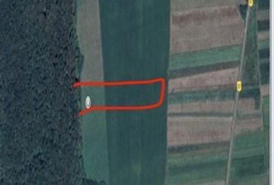 Teren de 2550 mp, în Mitocu Dragomirnei - 2