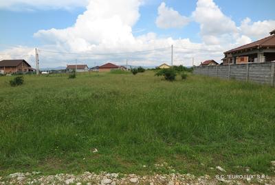 Teren de 500 mp, în Cicir - 6