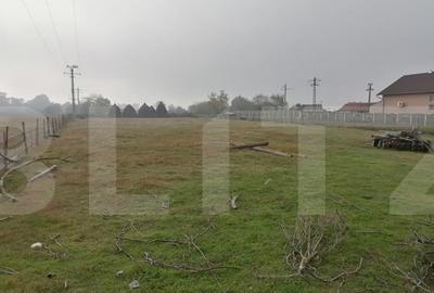 Teren intravilan 3300 mp apa, curent, posibilitate parcelare - 4