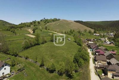 Parcelez teren 6514mp intravilan Manastirea Humorului - 3