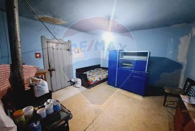 Casă cu 2 camere cu Teren 2443 Mp în Hidiș - 3