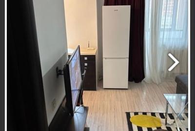 Garsonieră semidecomandată în Roșu - 10