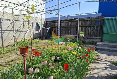 Casă individuală cu 2 camere cu Canalizare în Berceni - 1