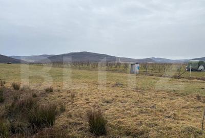 Teren de 5800 mp, în Beclean