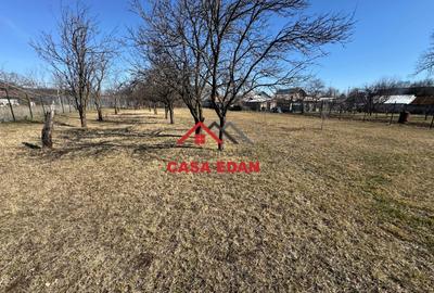 Teren 1306mp in Cornu--60.076e - 6